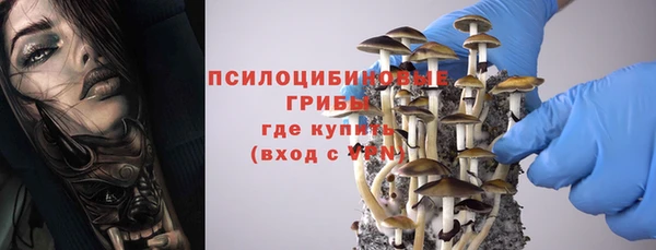 прущая мука Арсеньев