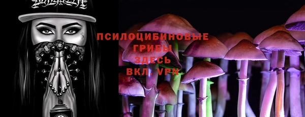 прущая мука Арсеньев