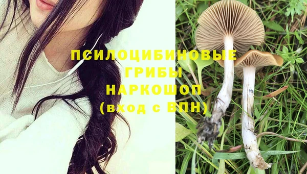 эйфоретик Армянск