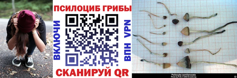 МЕГА как войти  Исилькуль  Псилоцибиновые грибы мухоморы 